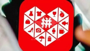 拼多多需要质检报告 怎么申请