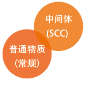 香皂盒做REACH测试 要多少钱